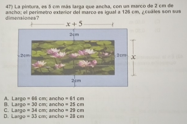 La pintura, es 5 cm más larga que ancha, con un marco de 2 cm de
ancho; el perímetro exterior del marco es igual a 126 cm, ¿cuáles son sus
dimensiones?
A. Largo =66cm; ancho =61cm
B. Largo =30cm; ancho =25cm
C. Largo =34cm; ancho =29cm
D.  Largo =33cm; ancho =28cm