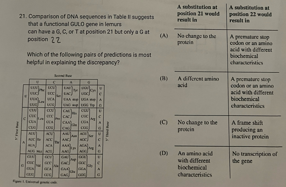 Solved: A substitution at A substitution at 21. Comparison of DNA ...