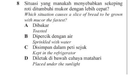 Situasi yang manakah menyebabkan sekeping
roti ditumbuhi mukor dengan lebih cepat?
Which situation causes a slice of bread to be grown
with mucor the fastest?
A Dibakar
Toasted
B Dipercik dengan air
Sprinkled with water
C Disimpan dalam peti sejuk
Kept in the refrigerator
D Diletak di bawah cahaya matahari
Placed under the sunlight