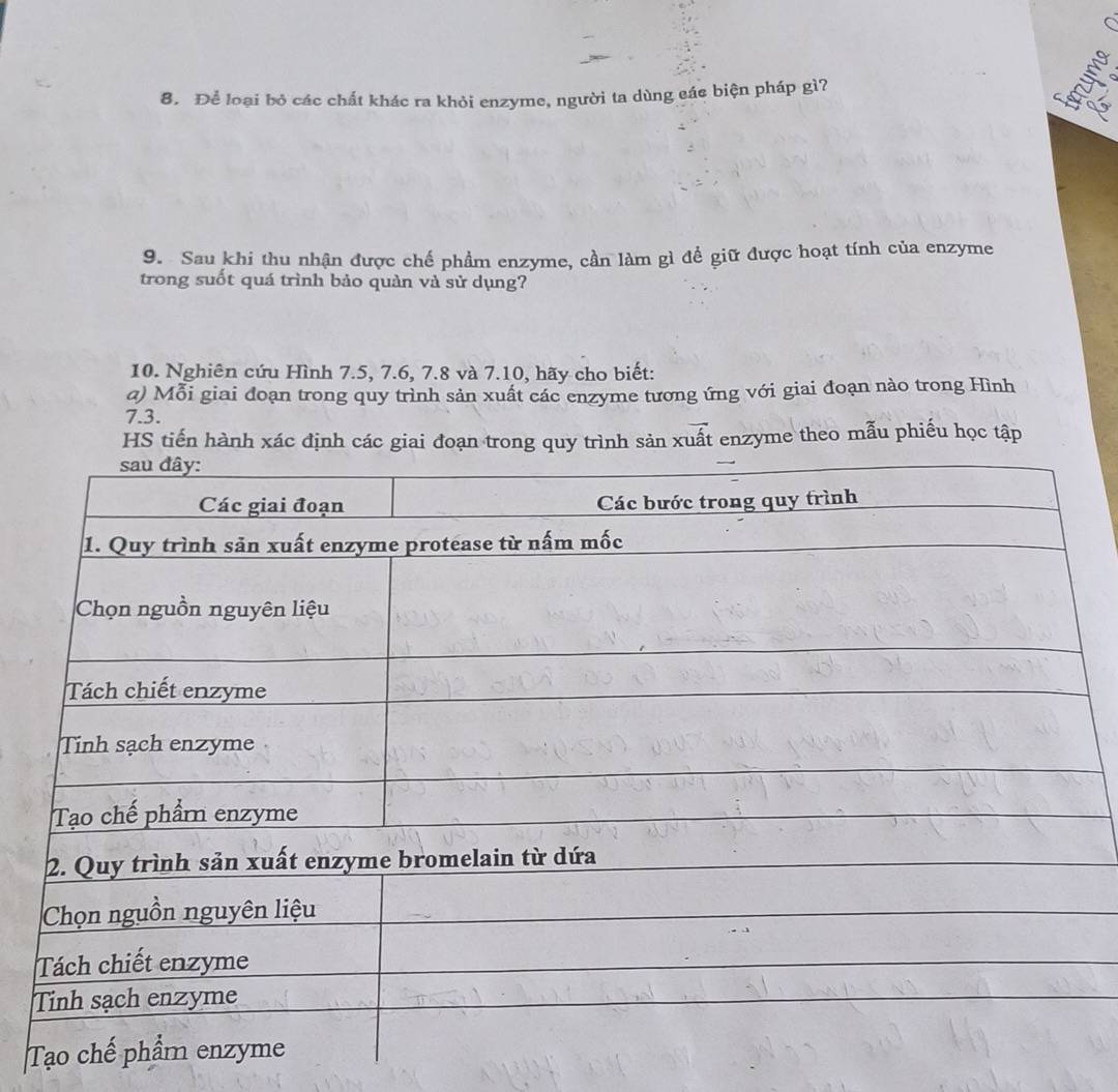 Để loại bỏ các chất khác ra khỏi enzyme, người ta dùng các biện pháp gì? 
9. Sau khi thu nhận được chế phẩm enzyme, cần làm gì để giữ được hoạt tính của enzyme 
trong suốt quá trình bảo quàn và sử dụng? 
10. Nghiên cứu Hình 7.5, 7.6, 7.8 và 7.10, hãy cho biết: 
a) Mỗi giai đoạn trong quy trình sản xuất các enzyme tương ứng với giai đoạn nào trong Hình
7.3. 
HS tiến hành xác định các giai đoạn trong quy trình sản xuất enzyme theo mẫu phiếu học tập