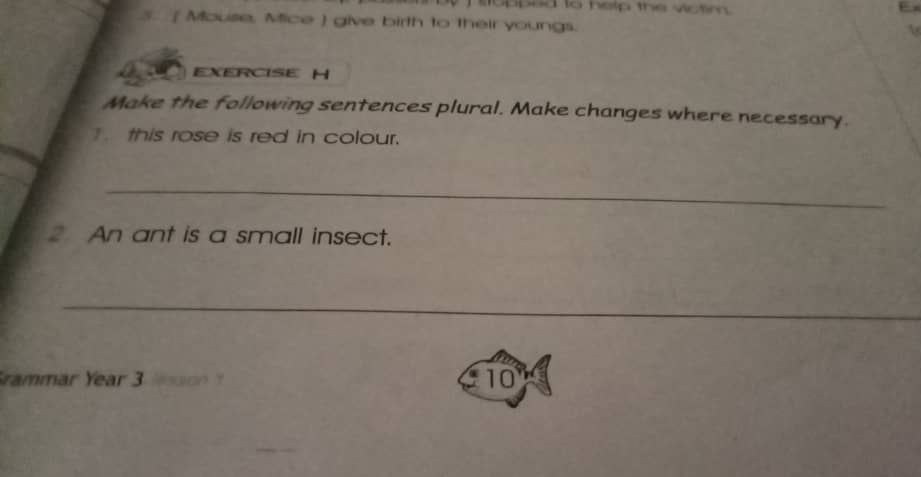 obed to help the wotim E 
5. [ Mouse, Mice ] give birth to their youngs. 
EXERCISE H 
Make the following sentences plural. Make changes where necessary. 
. this rose is red in colour. 
_ 
2 An ant is a small insect. 
_ 
rammar Year 3 Wsaion ?
10°