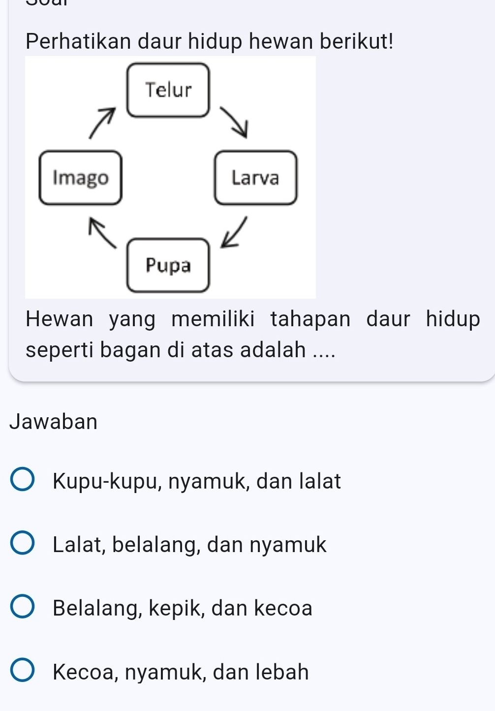 Perhatikan daur hidup hewan berikut!
Telur
7
Imago Larva
Pupa
Hewan yang memiliki tahapan daur hidup
seperti bagan di atas adalah ....
Jawaban
Kupu-kupu, nyamuk, dan lalat
Lalat, belalang, dan nyamuk
Belalang, kepik, dan kecoa
Kecoa, nyamuk, dan lebah