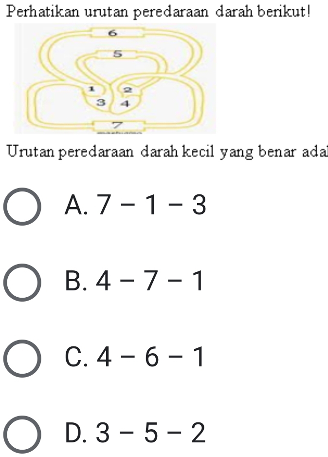 Perhatikan urutan peredaraan darah berikut!
Urutan peredaraan darah kecil yang benar ada
A. 7-1-3
B. 4-7-1
C. 4-6-1
D. 3-5-2