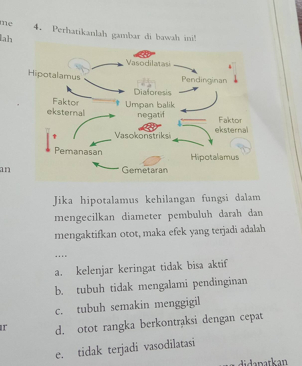 me 4. Perhatikanlah gambar di bawah ini!
lah
an
Jika hipotalamus kehilangan fungsi dalam
mengecilkan diameter pembuluh darah dan
mengaktifkan otot, maka efek yang terjadi adalah
…
a. kelenjar keringat tidak bisa aktif
b. tubuh tidak mengalami pendinginan
c. tubuh semakin menggigil
ır
d. otot rangka berkontraksi dengan cepat
e. tidak terjadi vasodilatasi
didapatkan