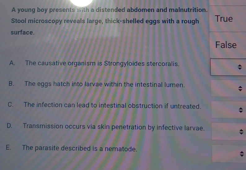 A young boy presents with a distended abdomen and malnutrition.
Stool microscopy reveals large, thick-shelled eggs with a rough True
surface.
False
A. The causative organism is Strongyloides stercoralis.
B. The eggs hatch into larvae within the intestinal lumen.
C. The infection can lead to intestinal obstruction if untreated.
D. Transmission occurs via skin penetration by infective larvae.
E. The parasite described is a nematode.