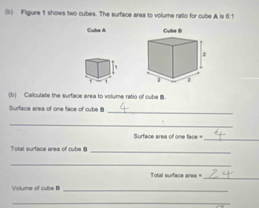 Figure 1 shows two cubes. The surface area to volume ratio for cube A is 6:1
Cube A 
1 
1 1 
(b) Calculate the surface area to volume ratio of cube B. 
Surface area of one face of cube B 
_ 
_ 
Surface area of one face = 
_ 
Total surface area of cube B_ 
_ 
_ 
Total surface area = 
Volums of cube B_ 
_