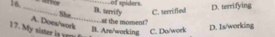 of spiders.
_She B. terrify C. terrified D. terrifying
at the moment?
A. Does/work_
B. Are/working C. Do/work D. Is/working
17. My sister is yen!