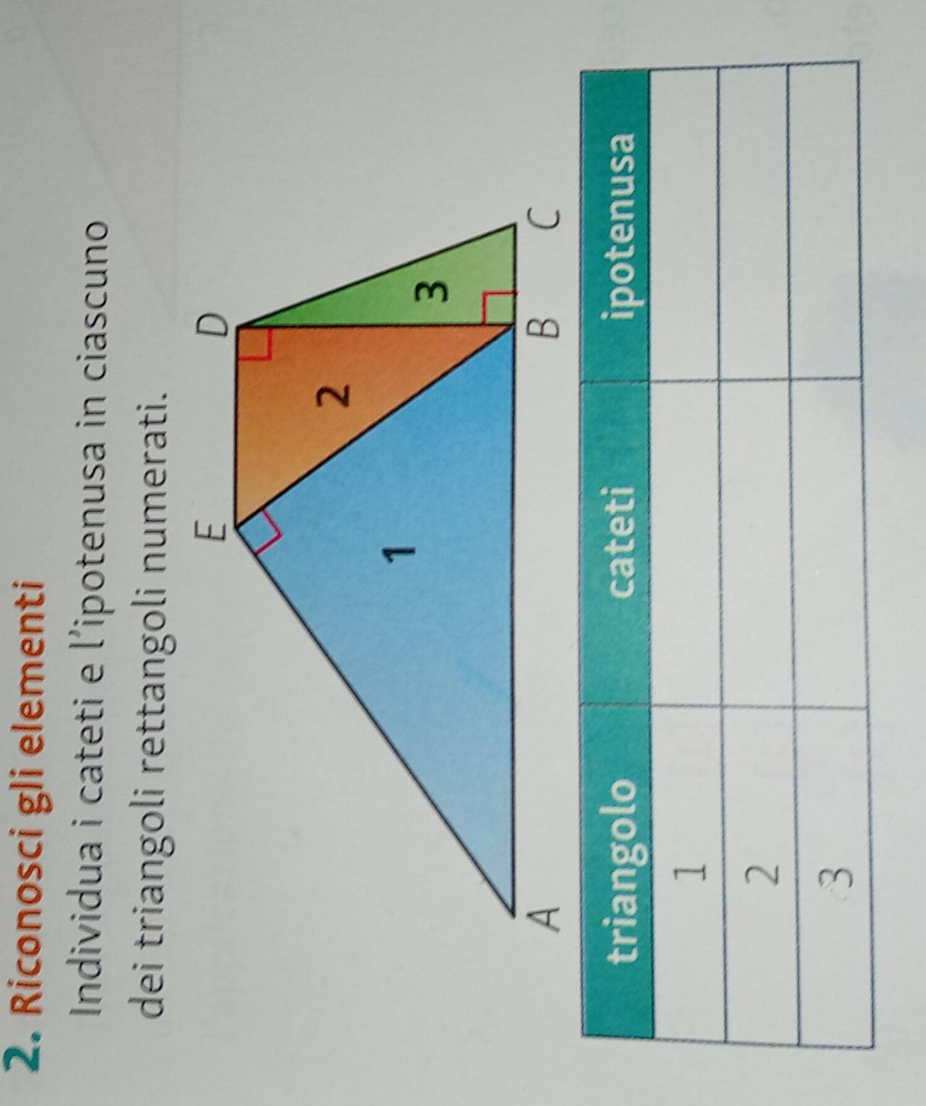 Riconosci gli elementi 
Individua i cateti e l’ipotenusa in ciascuno 
dei triangoli rettangoli numerati.