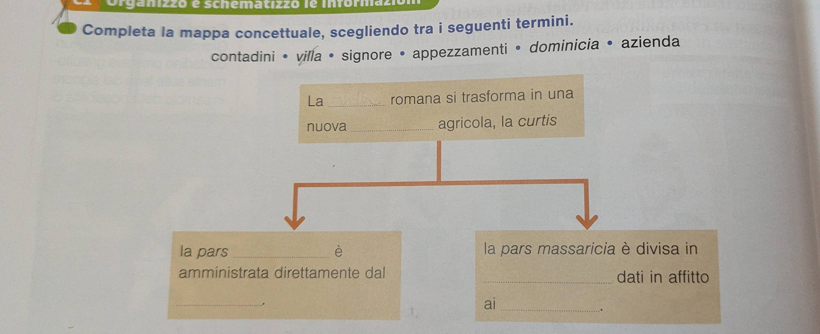 Organizzo é schematizzo le informazió 
Completa la mappa concettuale, scegliendo tra i seguenti termini. 
contadini • villa • signore • appezzamenti • dominicia • azienda 
La_ 
romana si trasforma in una 
nuova _agricola, la curtis 
la pars _è la pars massaricia è divisa in 
amministrata direttamente dal _dati in affitto 
_ 
ai_ 
* *