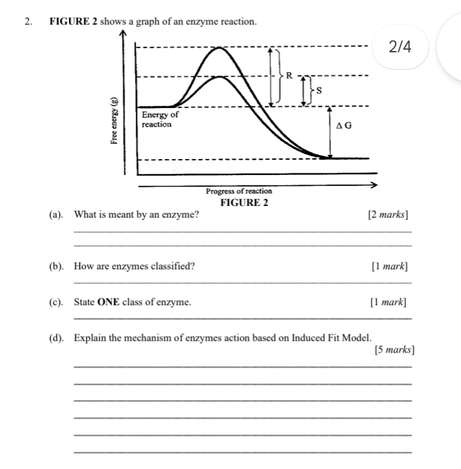 FIGURE 2 shows a graph of an enzyme reaction.
/4
(a). What is meant by an enzyme? [2 marks]
_
_
(b). How are enzymes classified? [1 mark]
_
(c). State ONE class of enzyme. [1 mark]
_
(d). Explain the mechanism of enzymes action based on Induced Fit Model.
[5 marks]
_
_
_
_
_
_