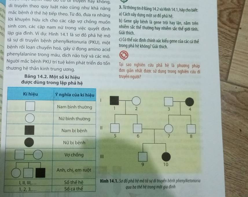 Có có ui truyền hay không, 
di truyền theo quy luật nào cũng như khả năng 3. Từ thông tin ở Bảng 14.2 và Hình 14.1, hãy cho biết: 
gn mắc bệnh ở thế hệ tiếp theo. Từ đó, đưa ra những a) Cách xây dựng một sơ đồ phả hệ. 
lời khuyên hữu ích cho các cặp vợ chống muốn b) Gene gây bệnh là gene trội hay lặn, nằm trên
9 n 
sinh con, các cập nam nữ trong việc quyết định nhiễm sắc thể thường hay nhiễm sắc thể giới tính. 
mô lập gia đình. Ví dụ: Hình 14.1 là sơ đồ phả hệ mô Giải thích. 
tả sự di truyền bệnh phenylketonuria (PKU), một c) Có thể xác định chính xác kiểu gene của các cá thể 
trong phả hệ không? Giải thích. 
bệnh rối loạn chuyển hoá, gây ứ đọng amino acid 
phenylalanine trong máu, dịch não tuỷ và các mô. 
Người mắc bệnh PKU trí tuệ kém phát triển do tổn Tại sao nghiên cứu phả hệ là phương pháp 
thương hệ thần kinh trung ương. đơn giản nhất được sử dụng trong nghiên cứu di 
Bảng 14.2. Một số kí hiệu truyền người? 
h 14.1. Sơ đồ phả hệ mô tả sự di truyền bệnh phenylketonuria 
qua ba thế hệ trong một gia đình