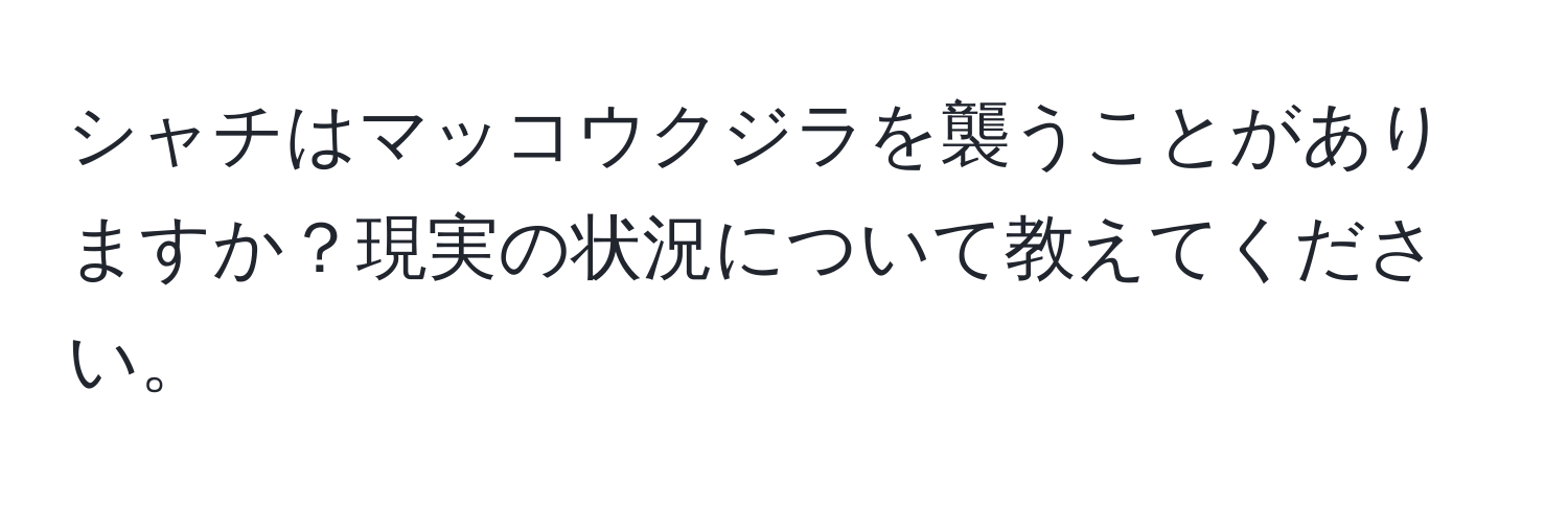 シャチはマッコウクジラを襲うことがありますか？現実の状況について教えてください。