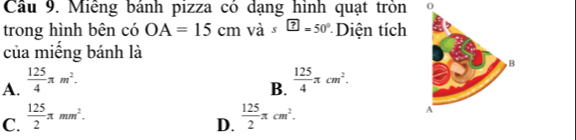 Cầu 9. Miễng bánh pizza có dạng hình quạt tròn 0
trong hình bên có OA=15cm 1 và s^(boxed ?)=50° Diện tích
của miếng bánh là
A.  125/4 π m^2.  125/4 π cm^2. 
B.
C.  125/2 π mm^2.  125/2 π cm^2. 
D.