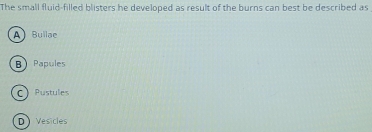 The small fluid-filled blisters he developed as result of the burns can best be described as
A) Bullae
B Papules
C Pustules
D Vesicles