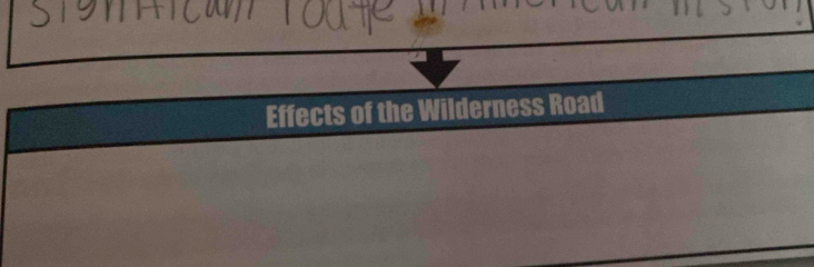 Effects of the Wilderness Road