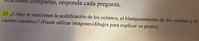 craciones completas, responda cada pregunta. 
23. ¿Cómo se relacionan la acidificación de los océanos, el blanqueamiento de los corales y el 
cambio climático? (Puede utilizar imágenes/dibujos para explicar su punto)