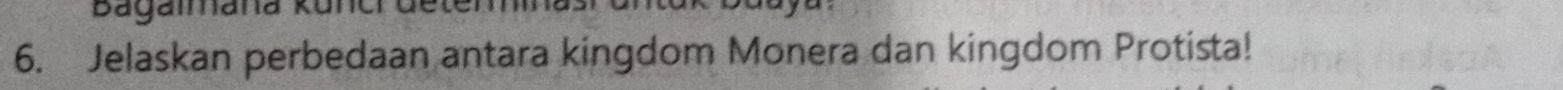 Bagalmana Kui 
6. Jelaskan perbedaan antara kingdom Monera dan kingdom Protista!