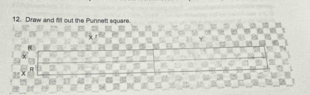 Draw and fill out the Punnett square.