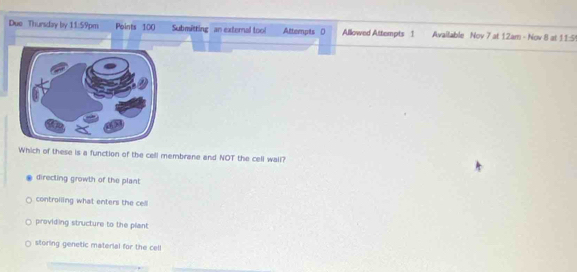 Due Thursday by 11:59pm Points 100 Submitting an external tool Altempts () Allowed Attempts 1 Available Nov 7 at 12am - Nov 8 at 11:5
Which of these is a function of the cell membrane and NOT the cell wall?
directing growth of the plant
controlling what enters the cell
providing structure to the plant
storing genetic material for the cell