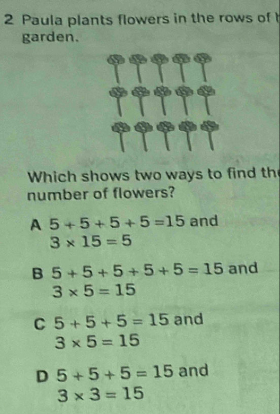 Paula plants flowers in the rows of 
garden.
Which shows two ways to find th
number of flowers?
A 5+5+5+5=15 and
3* 15=5
B 5+5+5+5+5=15 and
3* 5=15
C 5+5+5=15 and
3* 5=15
D 5+5+5=15 and
3* 3=15