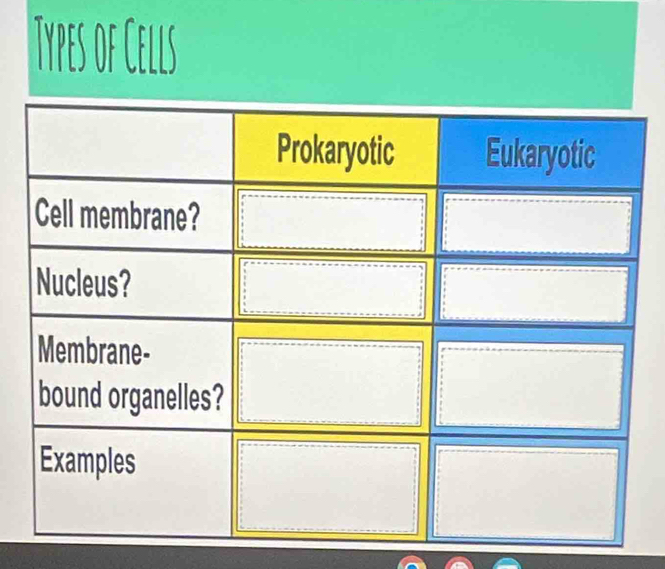 Tyes of Cells