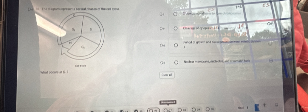 The disgram represents several phases of the cell cycle.
Chromatin condenses to form chron
oE
s Cleavage of cytoplasm and fore
M
Period of growth and development between mitotic division
G_2
s
Call Cycle Nuclear membrane, nucleolus, and chromatin fade
What occurs at G
Clear All
Nexl 
29