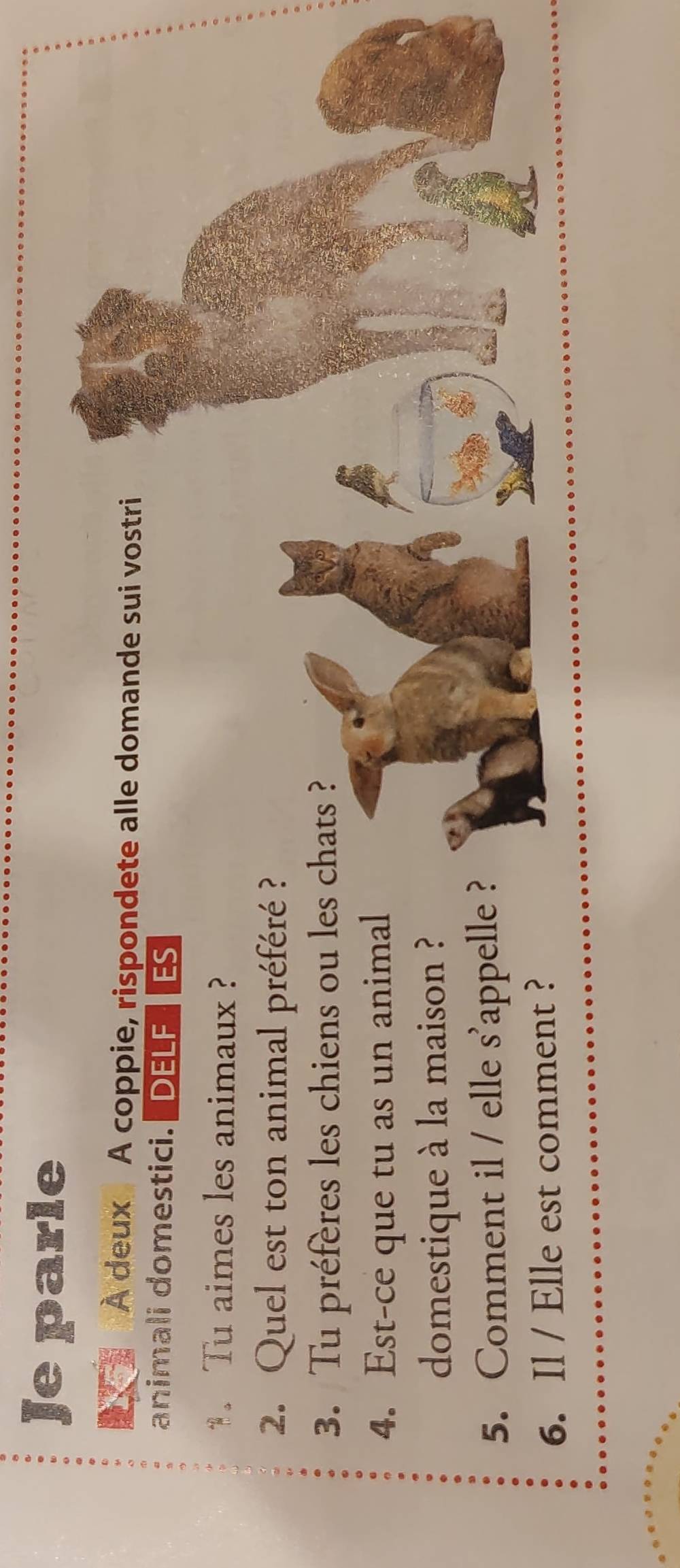 Je parle 
À deux A coppie, rispondete alle domande sui vostri 
animali domestici. DELF ES 
. Tu aimes les animaux ? 
2. Quel est ton animal préféré ? 
3. Tu préfères les chiens ou les chats ? 
4. Est-ce que tu as un animal 
domestique à la maison ? 
5. Comment il / elle s'appelle ? 
6. Il / Elle est comment ?