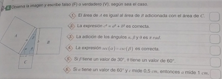 Observa la imagen y escribe falso (F) o verdadero (V), según sea el caso. 
t El área de 4 es igual al área de 8 adicionada con el área de C. 
2. La expresión c^2=a^2+b^2 es correcta. 
3 La adición de los ángulos a, /l y θ es π rad. 
La expresión sec (alpha )=csc (beta ) es correcta. 
Si tiene un valor de 30° θ tiene un valor de 60°. 
Sítiene un vaïor de 60° y c mide 0, 5 cw, entonces a mide 1 ca.