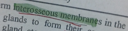 rm interosseous membranes in the 
glands to form their 
gland