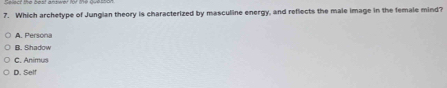 Which archetype of Jungian theory is characterized by masculine energy, and reflects the male image in the female mind?
A. Persona
B. Shadow
C. Animus
D. Self