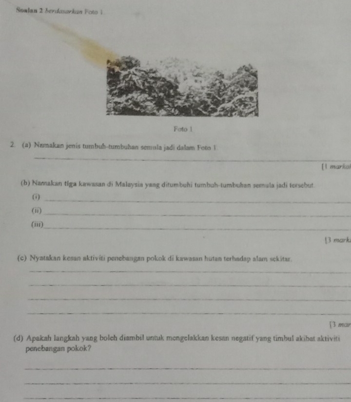 Snalan 2 berdosarkan Foto 1 
Foto 1 
2. (a) Namakan jenis tumbuh-tumbuhan semula jadi dalam Foto 1 
_ 
[l markoi 
(b) Namakan tiga kawasan di Malaysia yang ditumbuhi tumbuh-tumbuhan semula jadi tersebut 
_ 
(ii)_ 
(ii1) 
_ 
[3 marki 
(c) Nyatakan kesan aktiviti penebangan pokok di kawasan hutan terhadap alam sekitar. 
_ 
_ 
_ 
_ 
[3 mar 
(d) Apakah langkah yang bolch diambil untuk mengelakkan kesan negatif yang timbul akibat aktiviti 
penebangan pokok? 
_ 
_ 
_