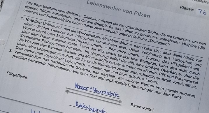 A Béitsbla
Klasse:
Lebensweise von Pilzen
Alle Pilze besitzen kein Blattgrün. Deshalb müssen sie die organischen Stoffe, die sie brauchen, um der
eigenen Körper aufzubauen und daraus Energie für das Leben zu gewinnen, aufnehmen. Hutpilze (die
meisten) und Schimmelpilze haben dabei zwei komplett unterschiedliche „Strategien'
. Hutpilze: Untersucht man die Wurzelspitzen einzelner Bäume, dann zeigt sich, dass diese häufig vo
einem dichten Geflecht aus Pilzhyphen umwachsen sind. Diese Verbindung aus Pilzhyphen un
Wurzel nennt man Mykorrhiza (mýkes, griech. = Pilz; rhiza, griech. = Wurzel). Das Pilzgeflecht ent
tieht dem Baum Kohlenhydrate. Denn der Pilz selbst besitzt kein Blattgrün, kann also nicht durch
Sonnenlicht Fotosynthese betreiben. Im Gegenzug liefert der Pilz eine größere Oberfläche, über die
Die Wurzeln des Baumes Wasser und Mineralstoffe besser aufnehmen können. Pilz und Baumwurze
Dies nennt man „Symbiose" (sýn, griech. = zusammen und bíos, griech. = Leben)
ilden eine Lebensgemeinschaft, die für beide Individuen zweier unterschiedlicher Arten vorteilhaft is
2. Vervollständige das nachfolgende Schema, das darstellt, wie welcher Partner vom jeweils anderer
Pilzgeflecht
profitiert (verwende Informationen aus dem Text und ergänzende Erläuterungen aus dem Film)
_
Baumwurzel