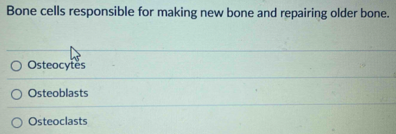 Bone cells responsible for making new bone and repairing older bone.
Osteocytès
Osteoblasts
Osteoclasts