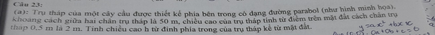 Trụ tháp của một cây cầu được thiết kế phía bên trong có dạng đường parabol (như hình minh họa). 
khoảng cách giữa hai chân trụ tháp là 50 m, chiều cao của trụ tháp tính từ điểm trên mặt đất cách chân trụ 
tháp 0.5 m là 2 m. Tính chiều cao h từ đinh phía trong của trụ tháp kể từ mặt đất.