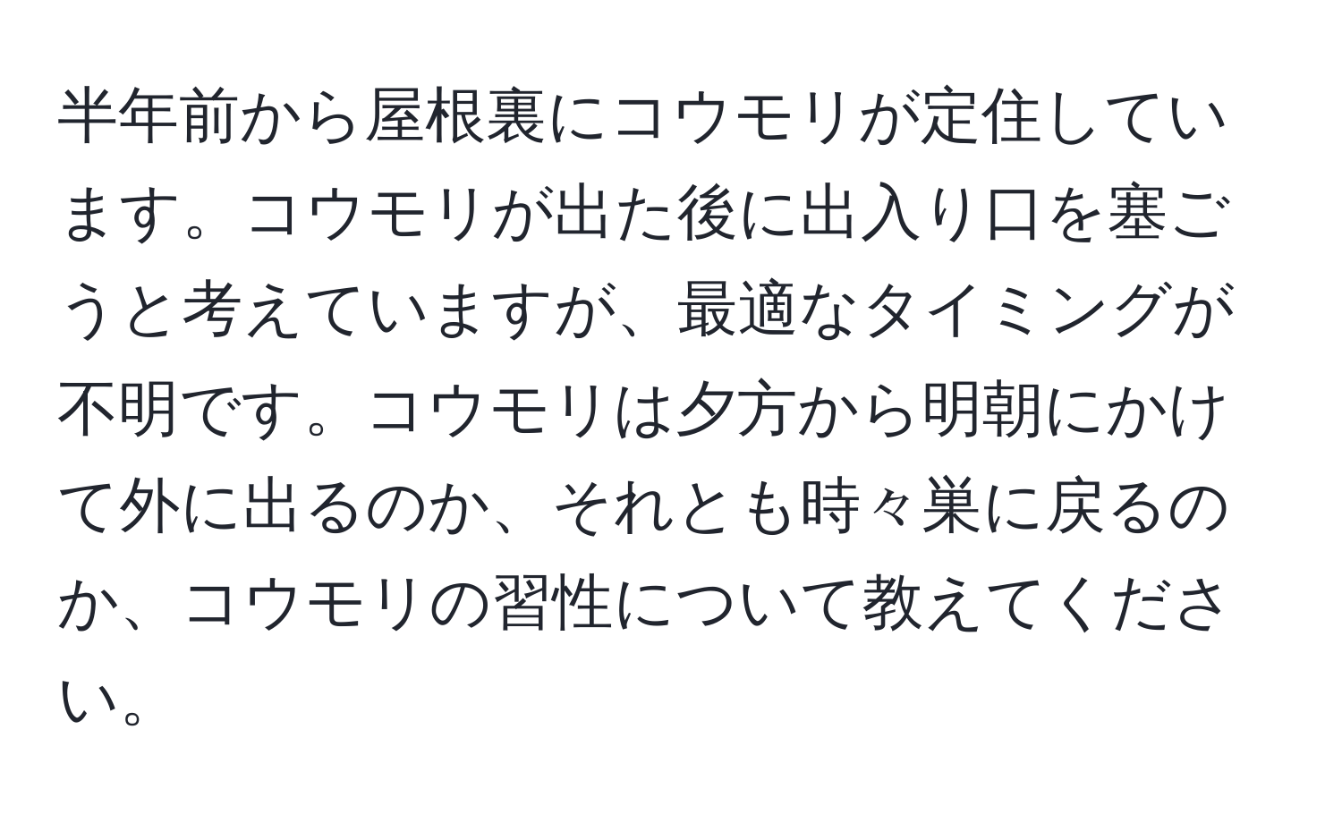 半年前から屋根裏にコウモリが定住しています。コウモリが出た後に出入り口を塞ごうと考えていますが、最適なタイミングが不明です。コウモリは夕方から明朝にかけて外に出るのか、それとも時々巣に戻るのか、コウモリの習性について教えてください。