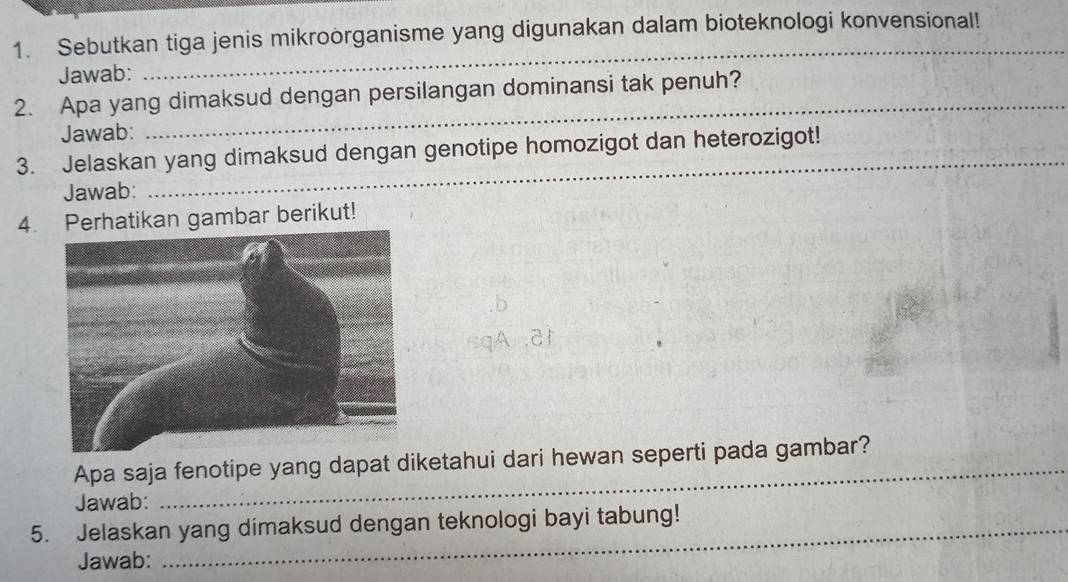 Sebutkan tiga jenis mikroorganisme yang digunakan dalam bioteknologi konvensional! 
Jawab: 
_ 
2. Apa yang dimaksud dengan persilangan dominansi tak penuh? 
Jawab: 
_ 
3. Jelaskan yang dimaksud dengan genotipe homozigot dan heterozigot!_ 
Jawab: 
_ 
4. Perhatikan gambar berikut! 
Apa saja fenotipe yang dapat diketahui dari hewan seperti pada gambar? 
Jawab: 
_ 
5. Jelaskan yang dimaksud dengan teknologi bayi tabung! 
Jawab: