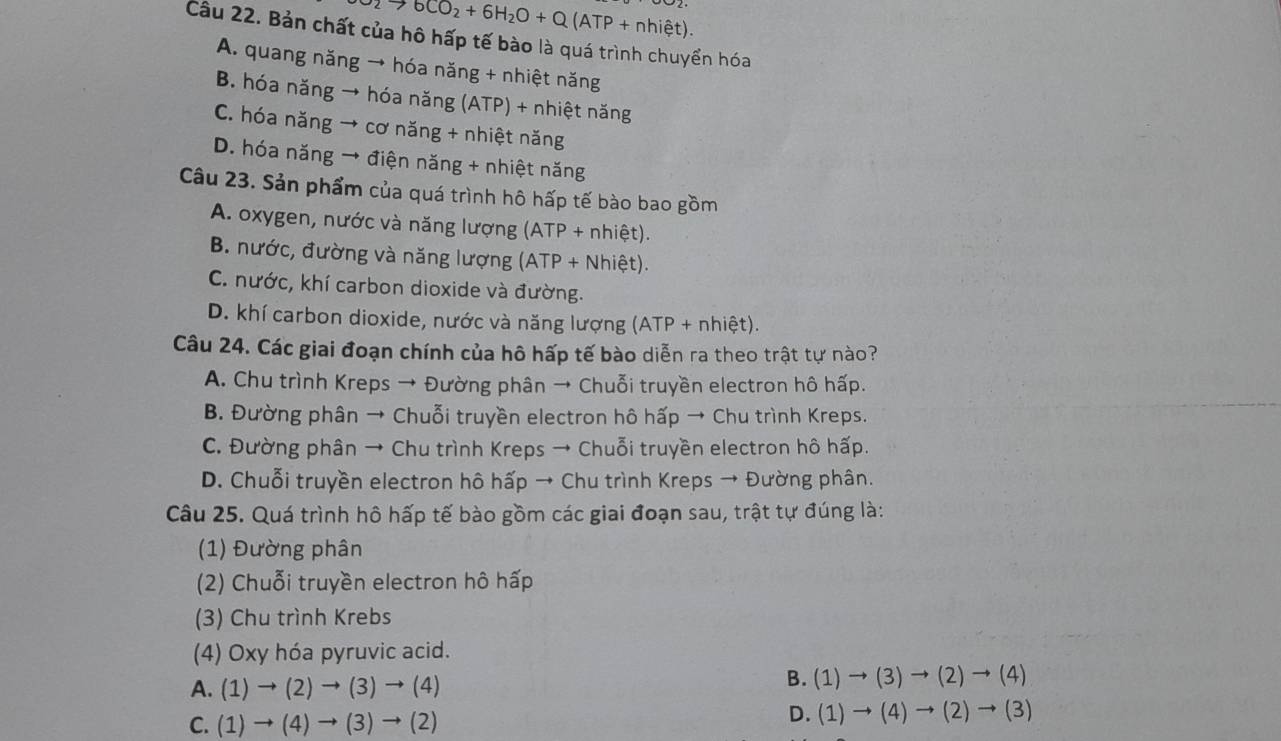 2to 6CO_2+6H_2O+Q(ATP+nhihat et).
Câu 22. Bản chất của hô hấp tế bào là quá trình chuyển hóa
A. quang năng → hóa năng + nhiệt năng
B. hóa năng → hóa năng (ATP) + nhiệt năng
C. hóa năng → cơ năng + nhiệt năng
D. hóa năng → điện năng + nhiệt năng
Câu 23. Sản phẩm của quá trình hô hấp tế bào bao gồm
A. oxygen, nước và năng lượng (ATP + nhihat et)
B. nước, đường và năng lượng (ATP + Nhiet )
C. nước, khí carbon dioxide và đường.
D. khí carbon dioxide, nước và năng lượng (ATP + nhiệt).
Câu 24. Các giai đoạn chính của hô hấp tế bào diễn ra theo trật tự nào?
A. Chu trình Kreps → Đường phân → Chuỗi truyền electron hô hấp.
B. Đường phân → Chuỗi truyền electron hô hấp → Chu trình Kreps.
C. Đường phân → Chu trình Kreps → Chuỗi truyền electron hô hấp.
D. Chuỗi truyền electron hô hấp → Chu trình Kreps → Đường phân.
Câu 25. Quá trình hô hấp tế bào gồm các giai đoạn sau, trật tự đúng là:
(1) Đường phân
(2) Chuỗi truyền electron hô hấp
(3) Chu trình Krebs
(4) Oxy hóa pyruvic acid.
A. (1)to (2)to (3)to (4)
B. (1)to (3)to (2)to (4)
C. (1)to (4)to (3)to (2)
D. (1)to (4)to (2)to (3)