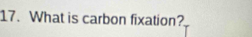 What is carbon fixation?