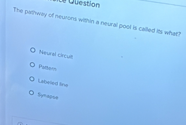 Solved: cé Question The pathway of neurons within a neural pool is ...