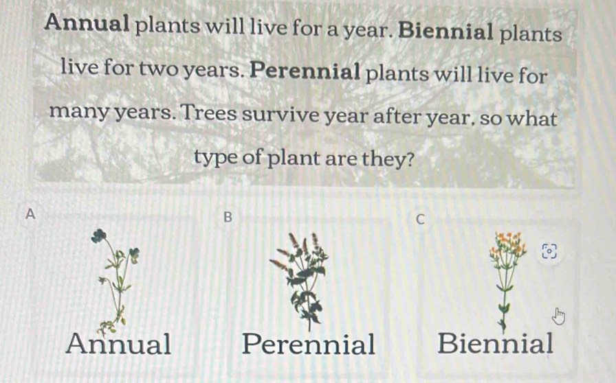 Solved: Annual plants will live for a year. Biennial plants live for two  years. Perennial plants w [Biology]