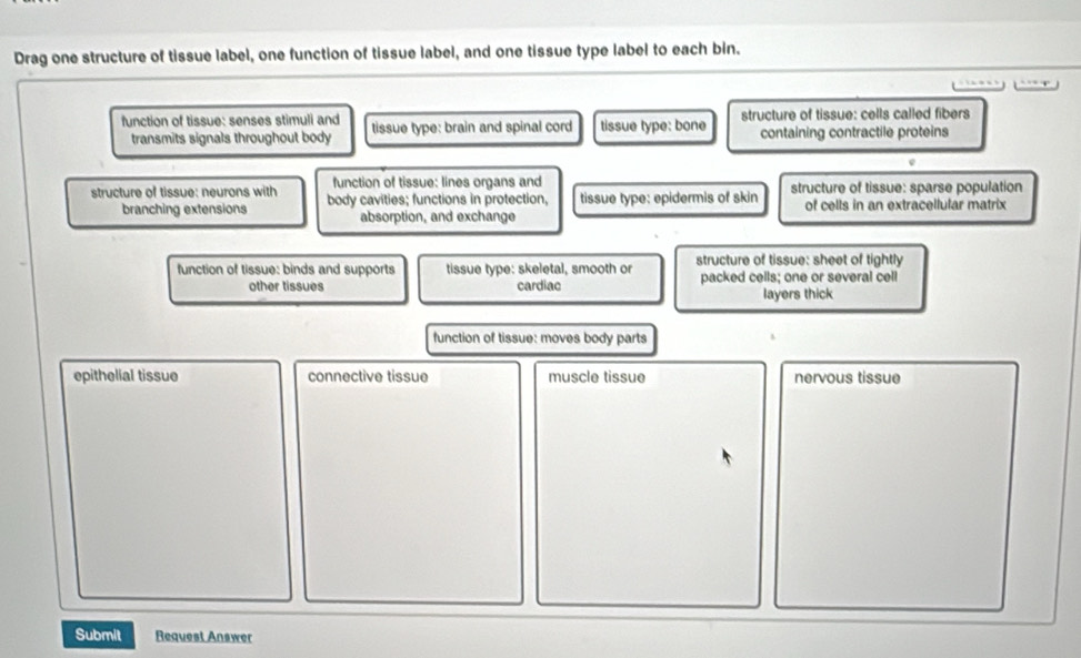 Drag one structure of tissue label, one function of tissue label, and one tissue type label to each bin.
…
function of tissue: senses stimuli and tissue type: brain and spinal cord tissue type: bone structure of tissue: cells called fibers
transmits signals throughout body containing contractile proteins
0
function of tissue: lines organs and
structure of tissue: neurons with body cavities; functions in protection, tissue type: epidermis of skin structure of tissue: sparse population
branching extensions absorption, and exchange of cells in an extracellular matrix
function of tissue: binds and supports tissue type: skeletal, smooth or structure of tissue: sheet of tightly
other tissues cardiac packed cells; one or several cell
layers thick
function of tissue: moves body parts
epithelial tissue connective tissue muscle tissue nervous tissue
Submit Request Answer