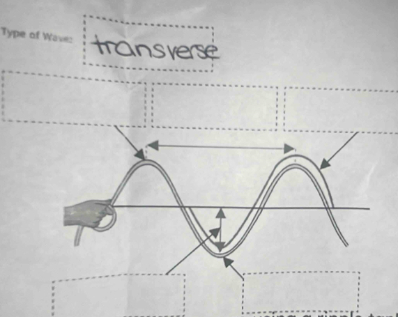 Type of Wave: transverse