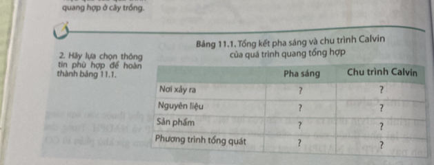 quang hợp ở cây trồng. 
Bảng 11.1. Tổng kết pha sáng và chu trình Calvin 
2. Hãy lựa chọn thông của quá trình quang tổng hợp 
tin phù hợp để ho 
thành bảng 11.1.