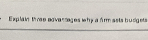 Explain three advantages why a firm sets budgets