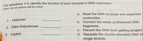 For questions 1-3, identify the function of each enzyme in DNA replication.
(Hint: not all options will be used)
a. Read the DNA template and assemble
nucleotides.
1. Helicase:_
b. Connect the newly synthesized DNA
2. DNA Polymerase: _fragments.
c. Prevent the DNA from getting tangled.
3. Ligase: _d. Separate the double-stranded DNA in
single strands.