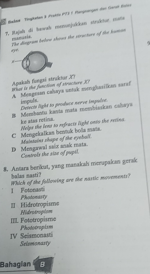 Balas Tingketen 3 Praktis PT3 1 Rangsengen dan Gerak Balas
7. Rajah di bawah menunjukkan struktur mata
The diagram below shows the structure of the human
manusia.
eye.
Apakah fungsi struktur X?
What is the function of structure X?
A Mengesan cahaya untuk menghasilkan saraf
impuls.
Detects light to produce nerve impulse.
B Membantu kanta mata membiaskan cahaya
ke atas retina.
Helps the lens to refracts light onto the retina.
C Mengekalkan bentuk bola mata.
Maintains shape of the eyeball.
D Mengawal saiz anak mata.
Controls the size of pupil.
8. Antara berikut, yang manakah merupakan gerak
balas nasti?
Which of the following are the nastic movements?
I Fotonasti
Photonasty
II Hidrotropisme
Hidrotropism
IIL Fototropisme
Phototropism
IV Seismonasti
Seismonasty
Bahagian B