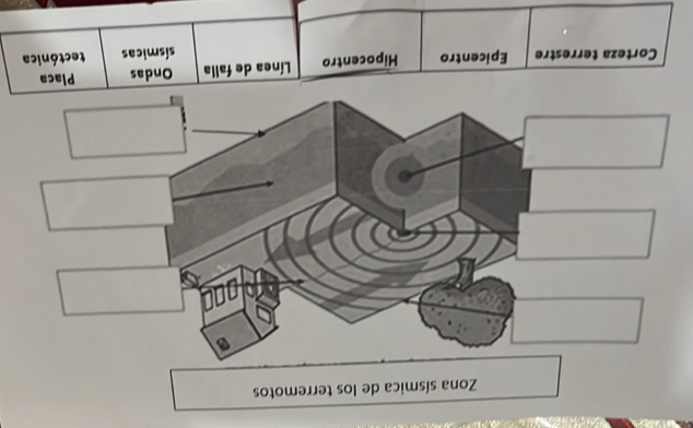 Zona sísmica de los terremotos
Corteza terrestre Epicentro Hipocentro Línea de falla Ondas Placa
sísmicas tectónica