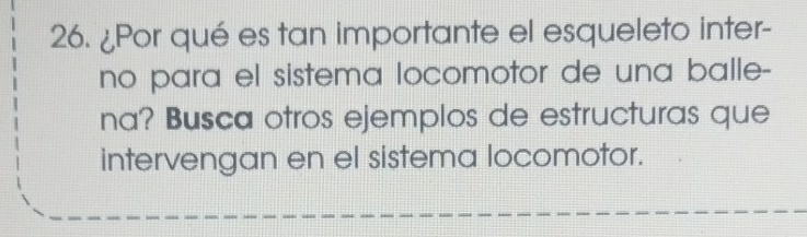 ¿Por qué es tan importante el esqueleto inter- 
no para el sistema locomotor de una balle- 
na? Busca otros ejemplos de estructuras que 
intervengan en el sistema locomotor.