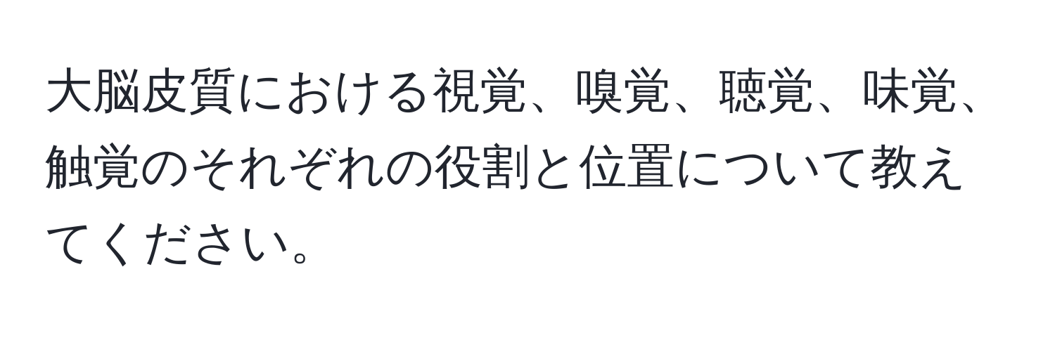 大脳皮質における視覚、嗅覚、聴覚、味覚、触覚のそれぞれの役割と位置について教えてください。