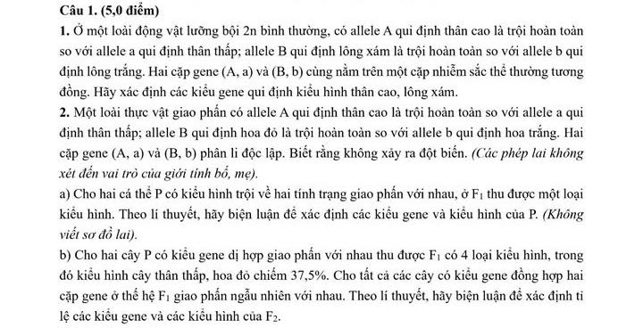 (5,0 điểm)
1. Ở một loài động vật lưỡng bội 2n bình thường, có allele A qui định thân cao là trội hoàn toàn
so với allele a qui định thân thấp; allele B qui định lông xám là trội hoàn toàn so với allele b qui
định lông trắng. Hai cặp gene (A,a) và (B,b) cùng nằm trên một cặp nhiễm sắc thể thường tương
đồng. Hãy xác định các kiểu gene qui định kiểu hình thân cao, lông xám.
2. Một loài thực vật giao phần có allele A qui định thân cao là trội hoàn toàn so với allele a qui
định thân thấp; allele B qui định hoa đỏ là trội hoàn toàn so với allele b qui định hoa trắng. Hai
cặp gene (A,a) và (B,b) phân li độc lập. Biết rằng không xảy ra đột biến. (Các phép lai không
xét đến vai trò của giới tính b^0 ne)
a) Cho hai cá thể P có kiểu hình trội về hai tính trạng giao phấn với nhau, ở F_1 thu được một loại
kiểu hình. Theo lí thuyết, hãy biện luận để xác định các kiểu gene và kiểu hình của P. (Không
viết sơ đồ lai).
b) Cho hai cây P có kiểu gene dị hợp giao phần với nhau thu được F_1 có 4 loại kiểu hình, trong
đó kiểu hình cây thân thấp, hoa đỏ chiếm 37,5%. Cho tất cả các cây có kiểu gene đồng hợp hai
cặp gene ở thể hệ F_1 giao phẩn ngẫu nhiên với nhau. Theo lí thuyết, hãy biện luận đề xác định ti
lệ các kiểu gene và các kiểu hình của F_2.